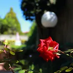 Ambrosio Relais Nocleg ze śniadaniem Półwysep Sorrentyński