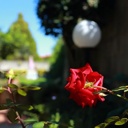 Ambrosio Relais Alojamento de Acomodação e Pequeno-almoço Sorrento