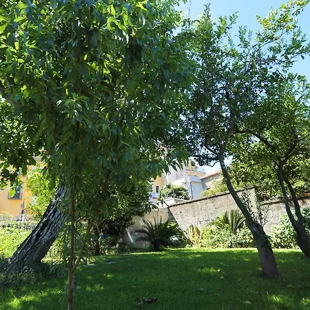 Alojamento de Acomodação e Pequeno-almoço Ambrosio Relais