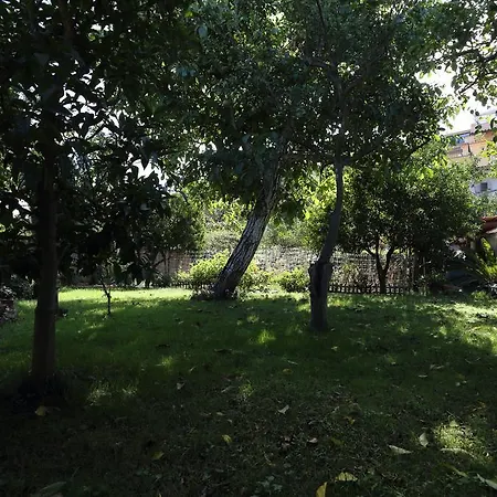Ambrosio Relais
